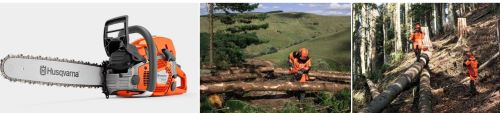 Влияют ли погодные и климатические условия на эффективность работ при валке леса?